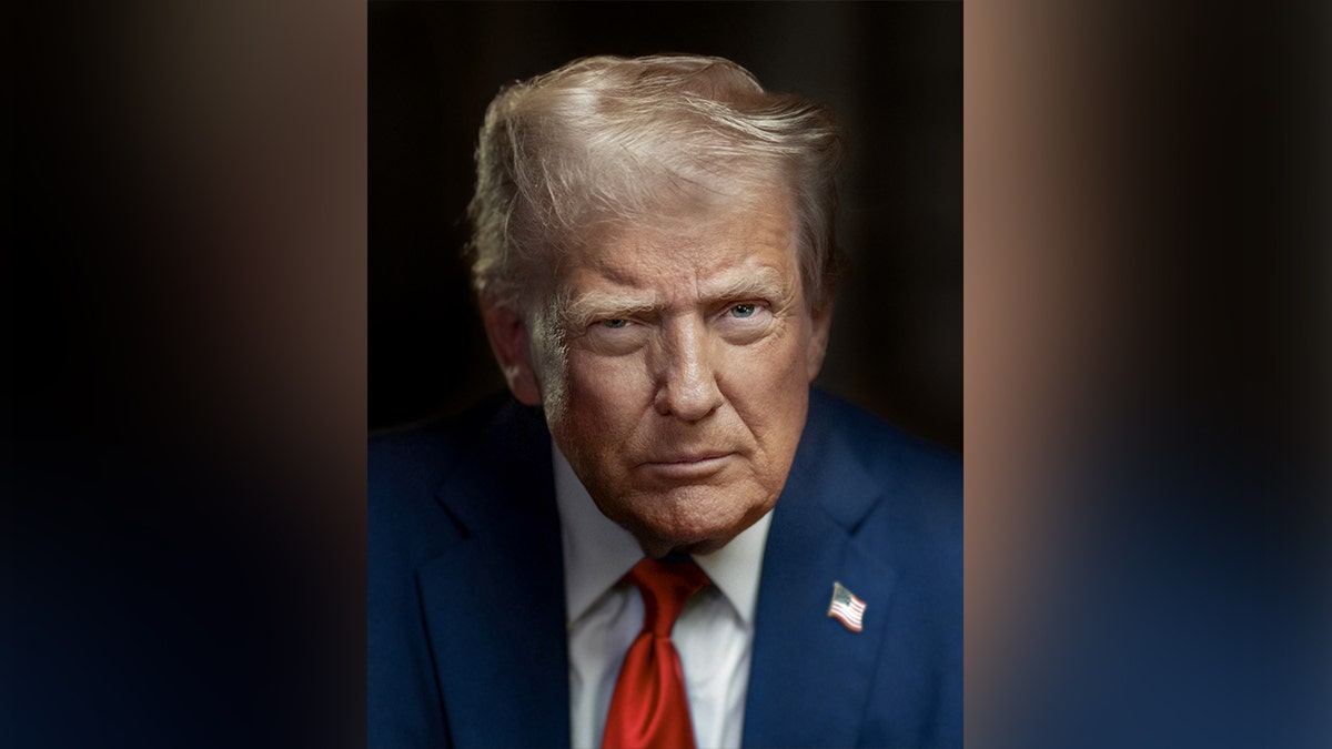 President Donald Trump portrait