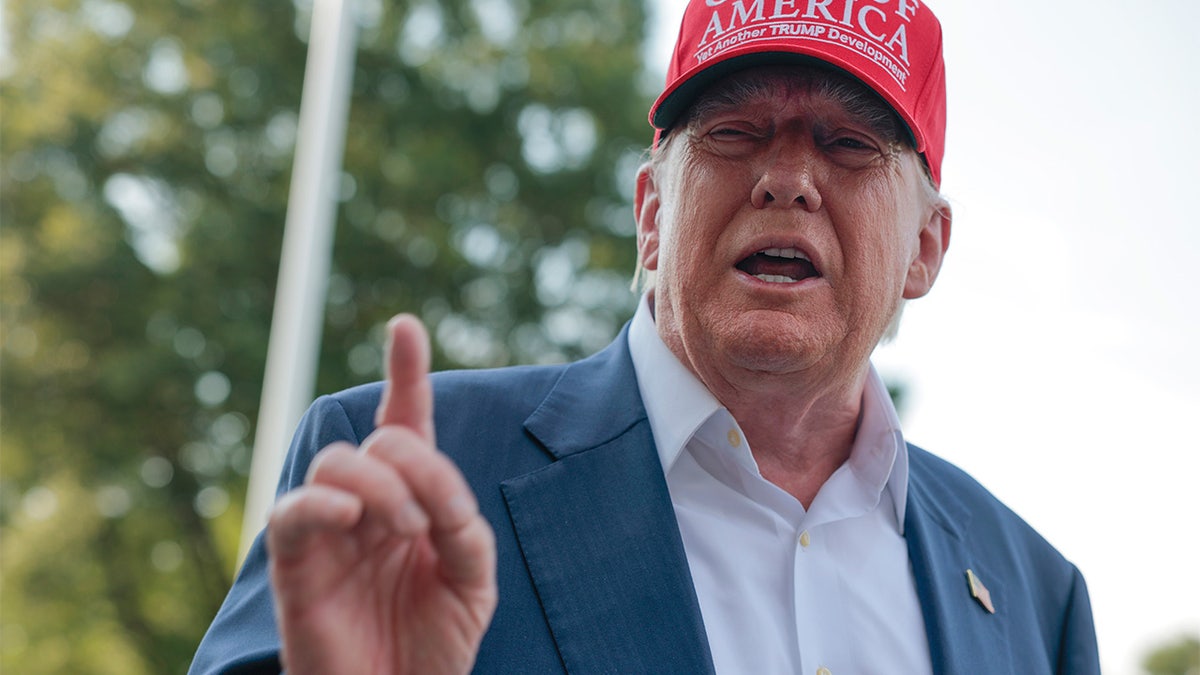 Donald Trump in MAGA hat