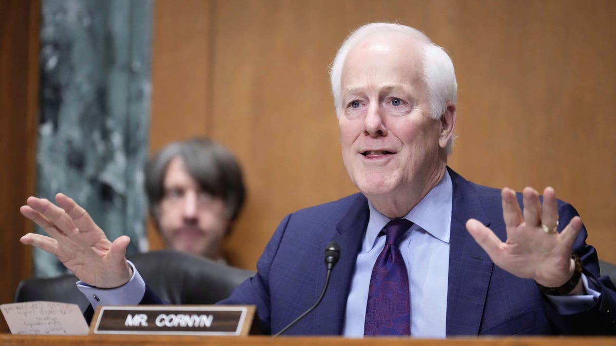 Sen. John Cornyn, R-Texas, seen at a Senate hearing on Capitol Hill in Washington, Friday, on March 14, 2025, is running for re-election next year. (AP Photo/Ben Curtis)
