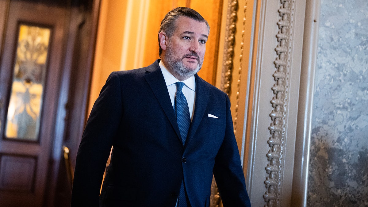 Sen. Ted Cruz closeup shot