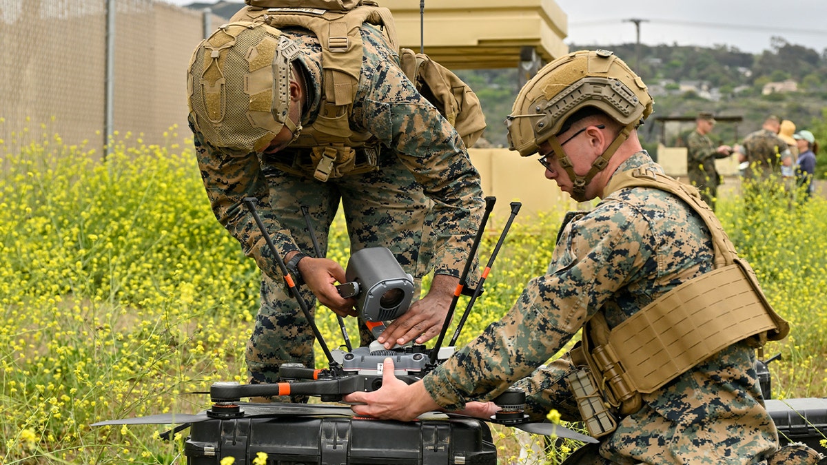 Two U.S. Marines in camouflage uniforms and tactical gear work together to operate a military drone in a field of yellow wildflowers during training.