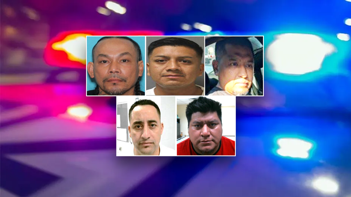 Five worst of the worst illegal aliens arrested by ICE in July 2025
