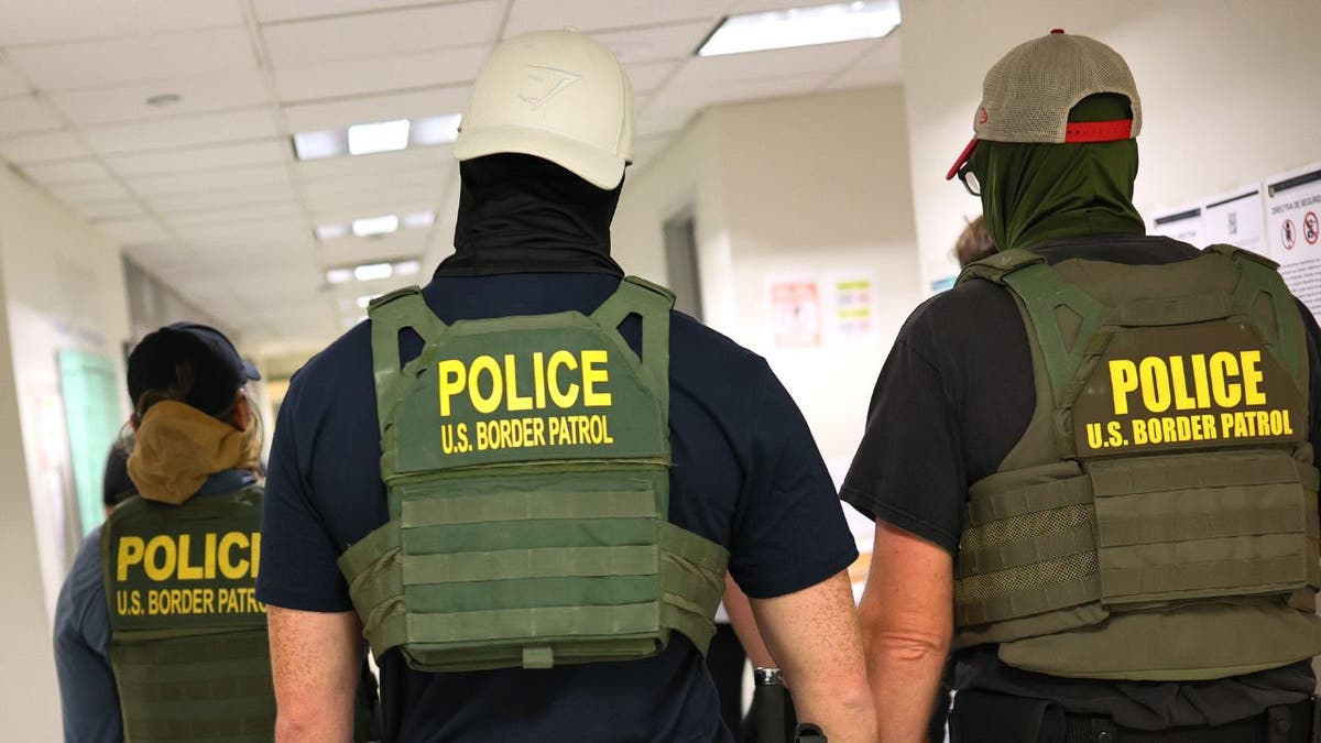 ice agents
