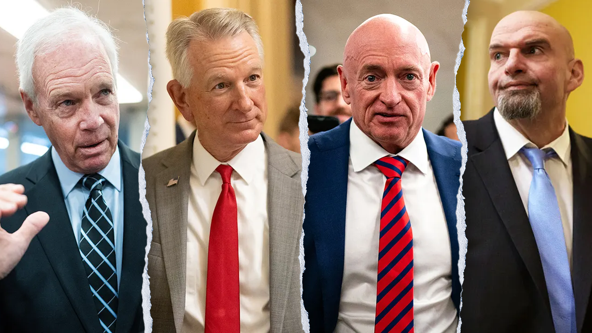 Republican and Democrat senators voice opinions on Medicaid work requirement