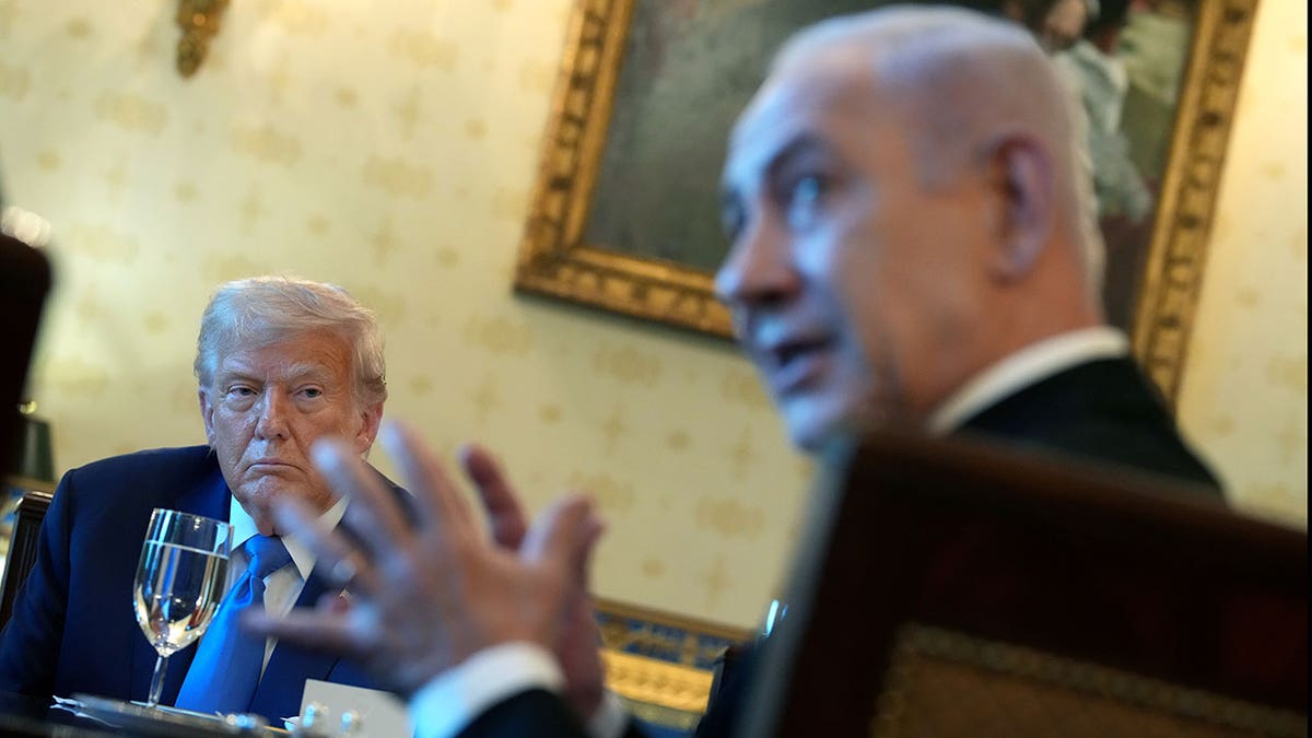 Trump meets with Netanyahu at the White House