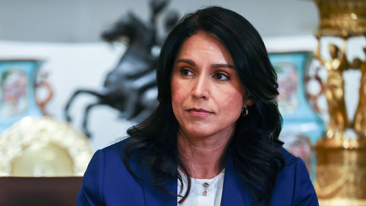 Tulsi Gabbard during a Trump cabinet meeting on July 8, 2025