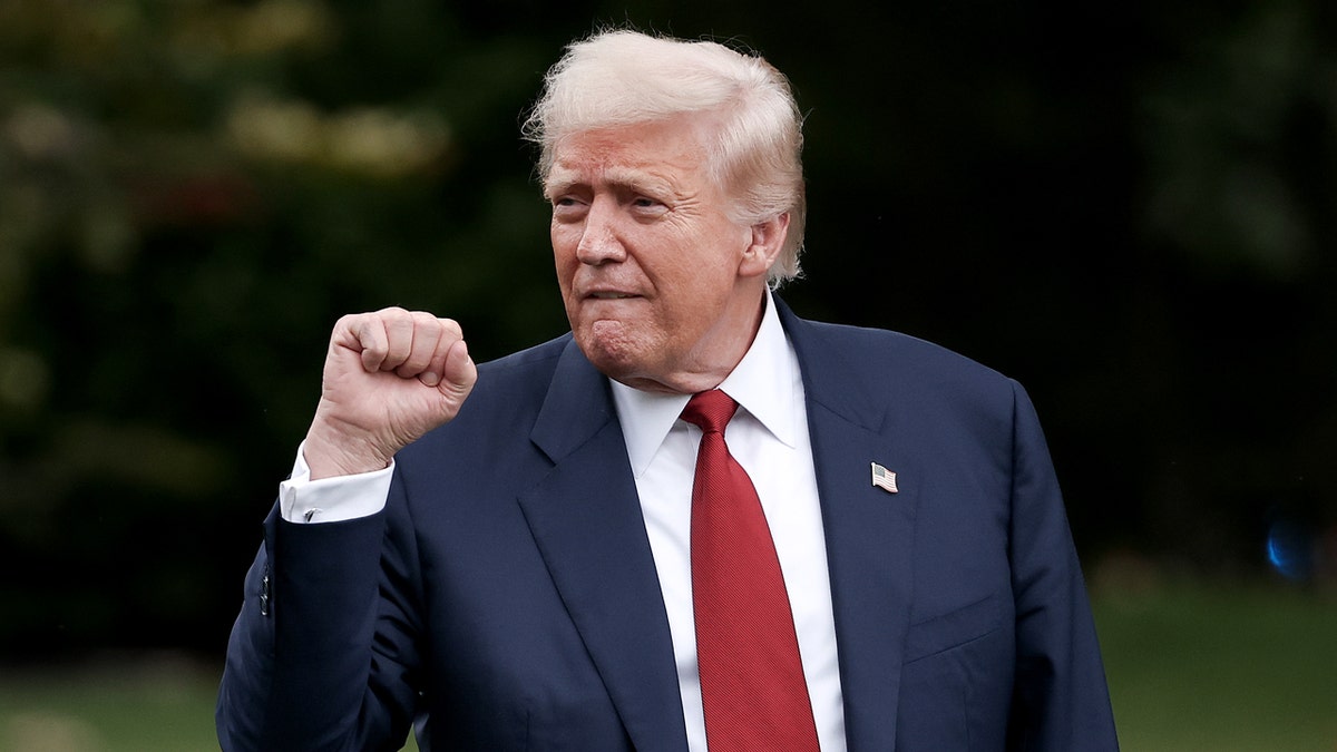 President Donald Trump pumps fist