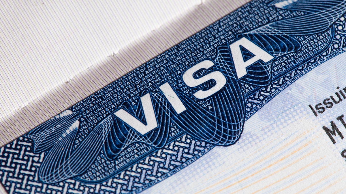 USA Visa