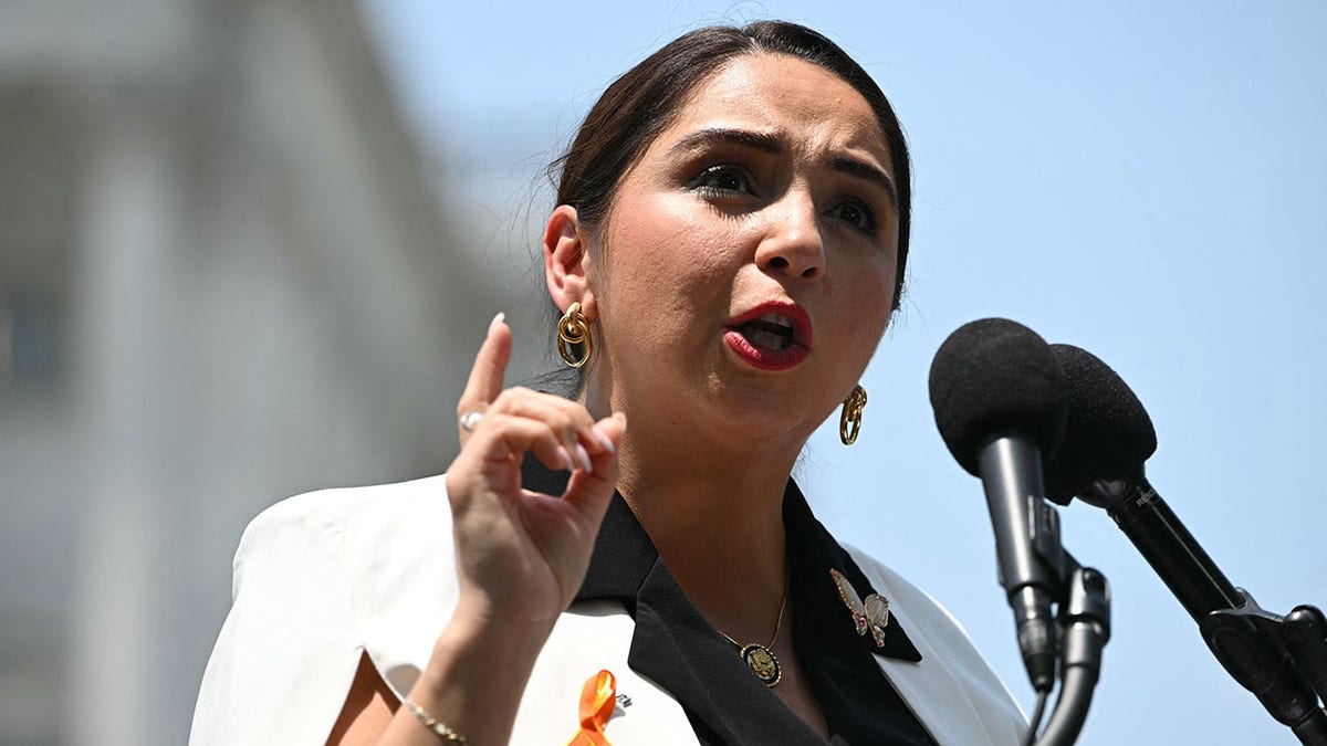 Rep. Delia Ramirez of Illinois