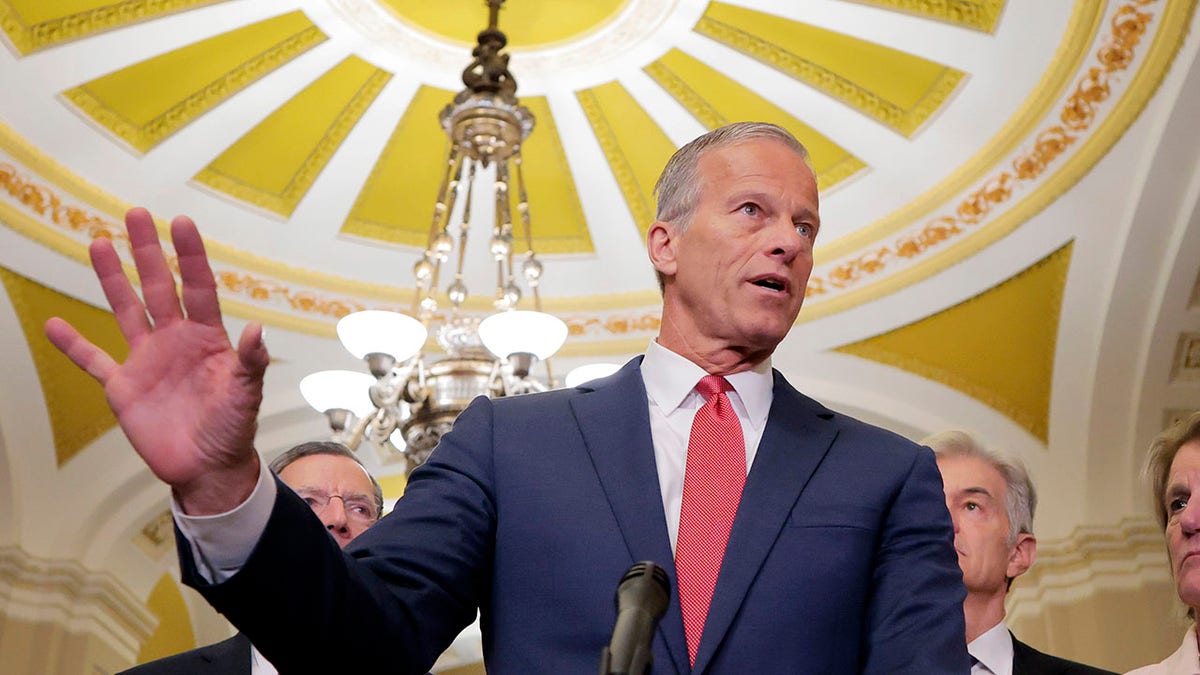Senate Majority Leader John Thune, R-S.D.