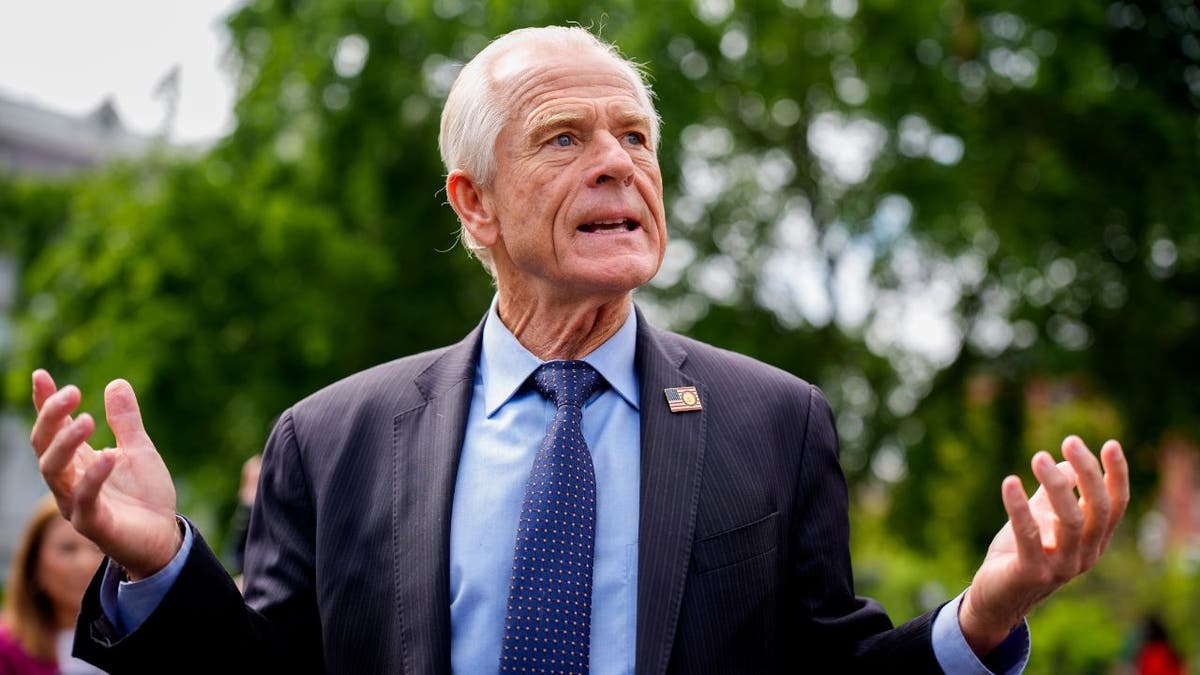 Trade advisor to U.S. President Donald Trump Peter Navarro speaks to members of the media outside the West Wing