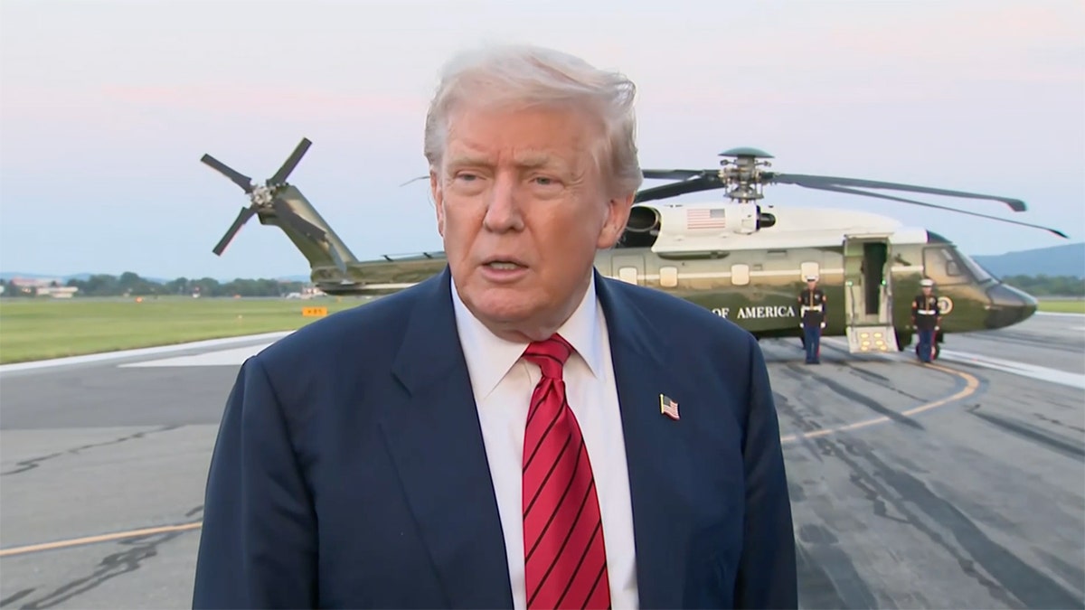 President Trump on Sunday reacted positively upon learning actress Sydney Sweeney is a registered Republican, adding that he now finds her viral American Eagle ad campaign to be "fantastic."