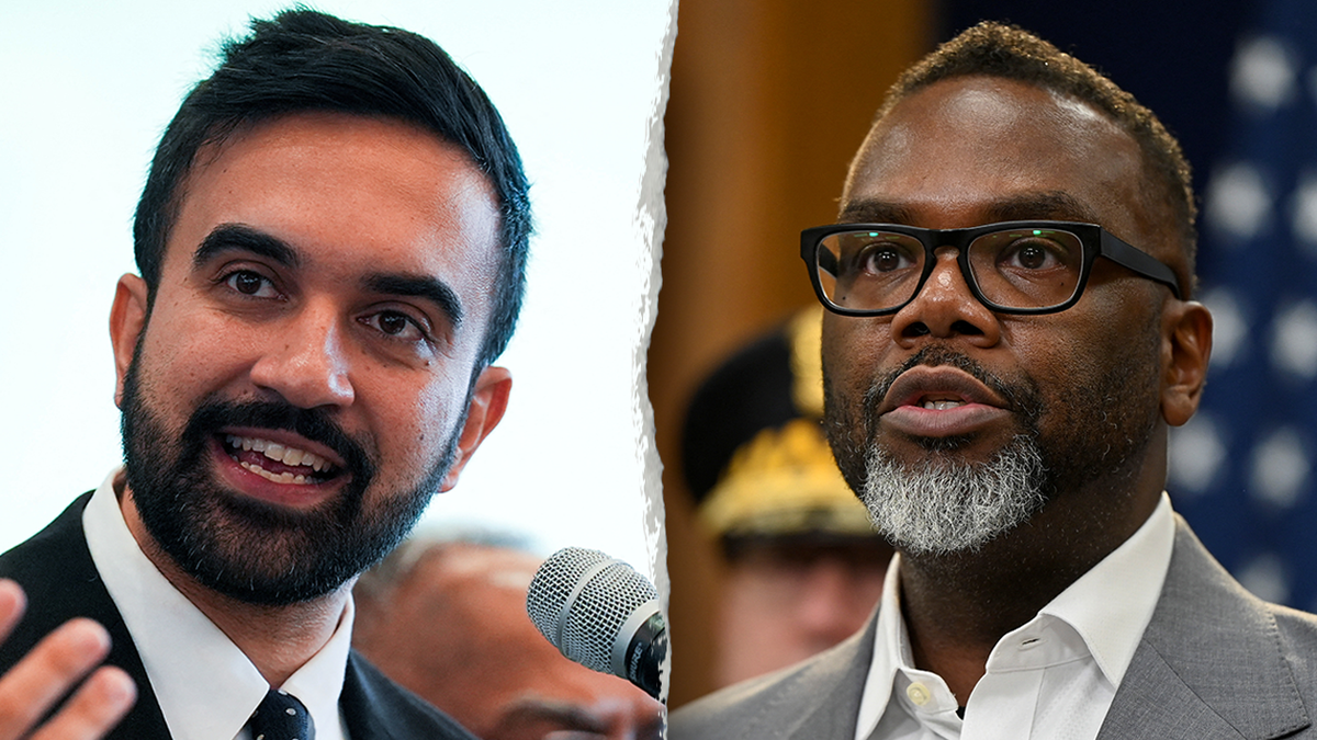 mamdani-johnson