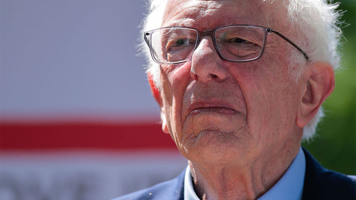 Vermont independent Sen. Bernie Sanders up close.