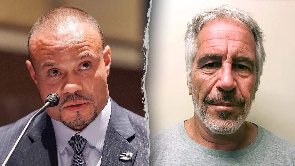 Bongino/Epstein split