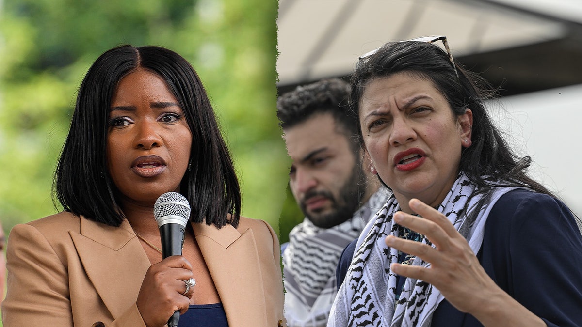 Jasmine Crockett, Rashida Tlaib