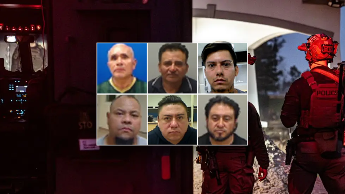 Criminal illegals arrested by ICE in Chicago