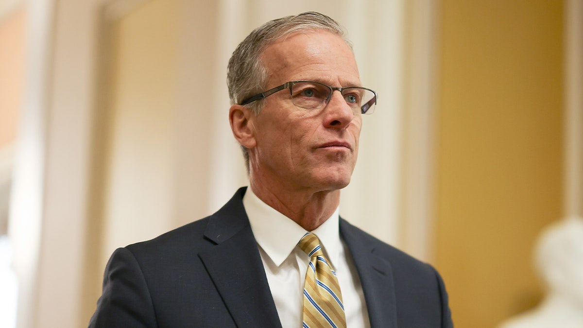 senate majority leader john thune walks to a vote in Washington, D.C.