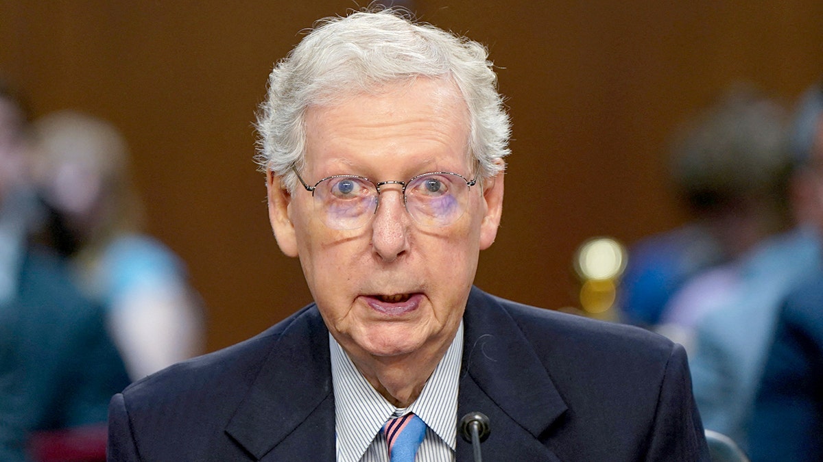 Mitch McConnell speaks at a hearing.