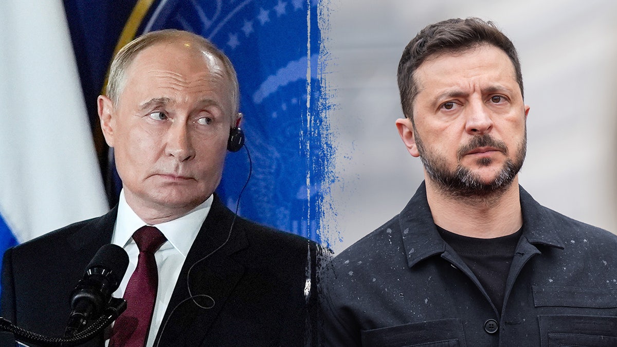 Russian President Vladimir Putin and Ukrainian President Volodymyr Zelenskyy have separately met with President Donald Trump in recent days.