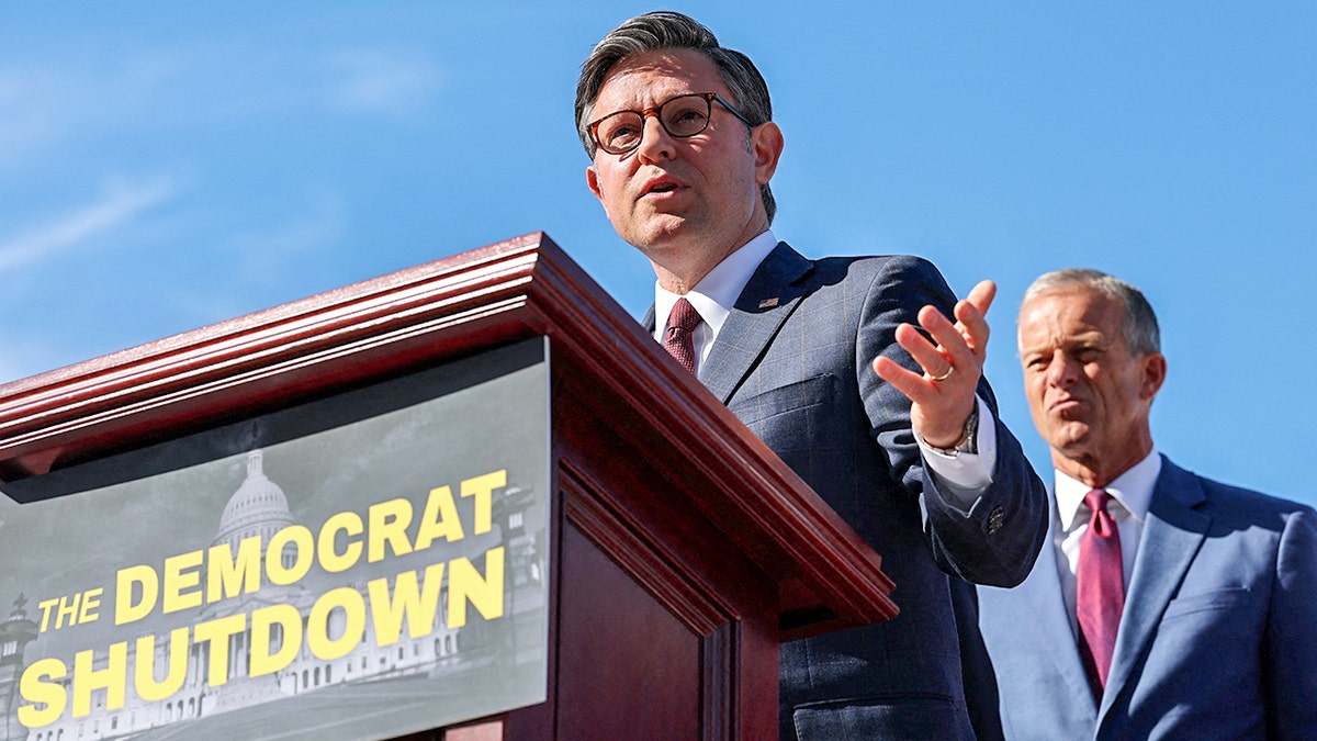 House Speaker Johnson speaks in D.C.