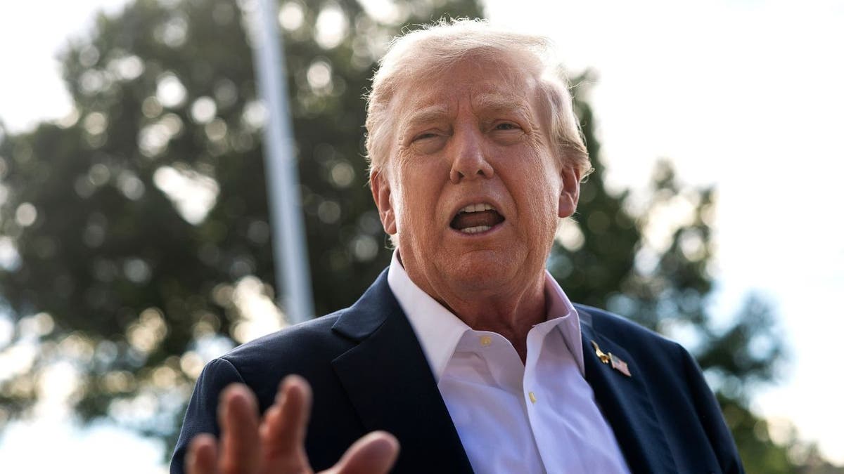 a photo of President Donald Trump