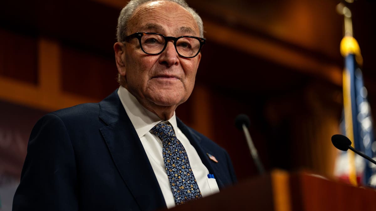 democrat senator chuck schumer looks on