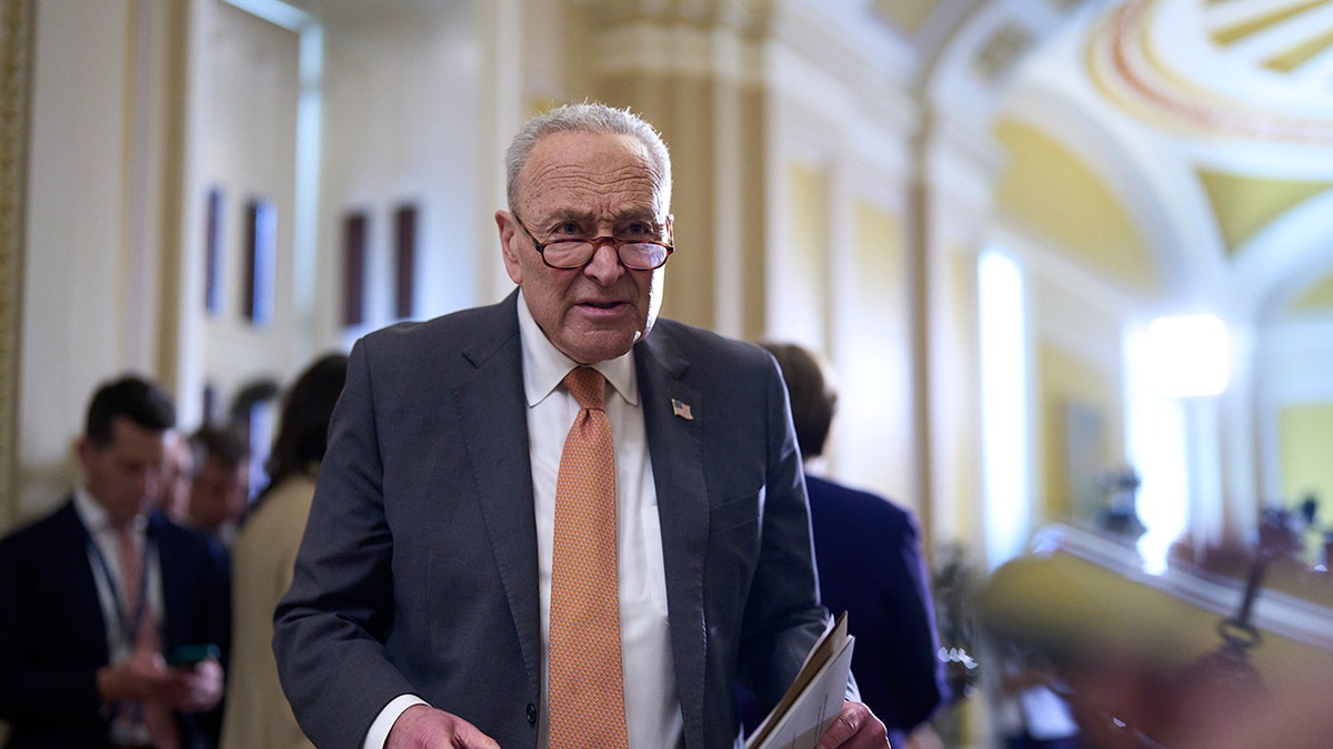 Senate Minority Leader Chuck Schumer at the Capitol