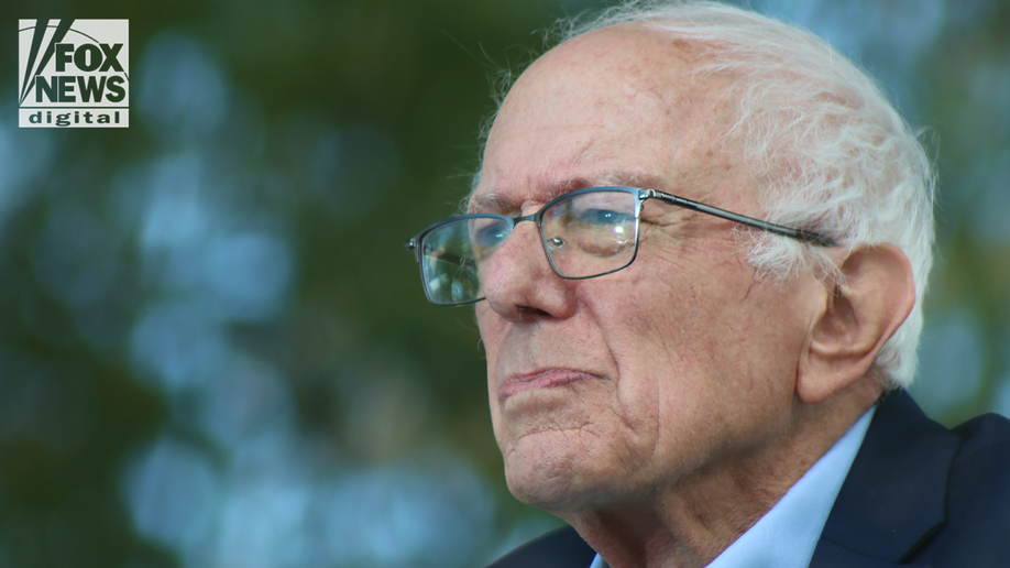 bernie sanders no kings