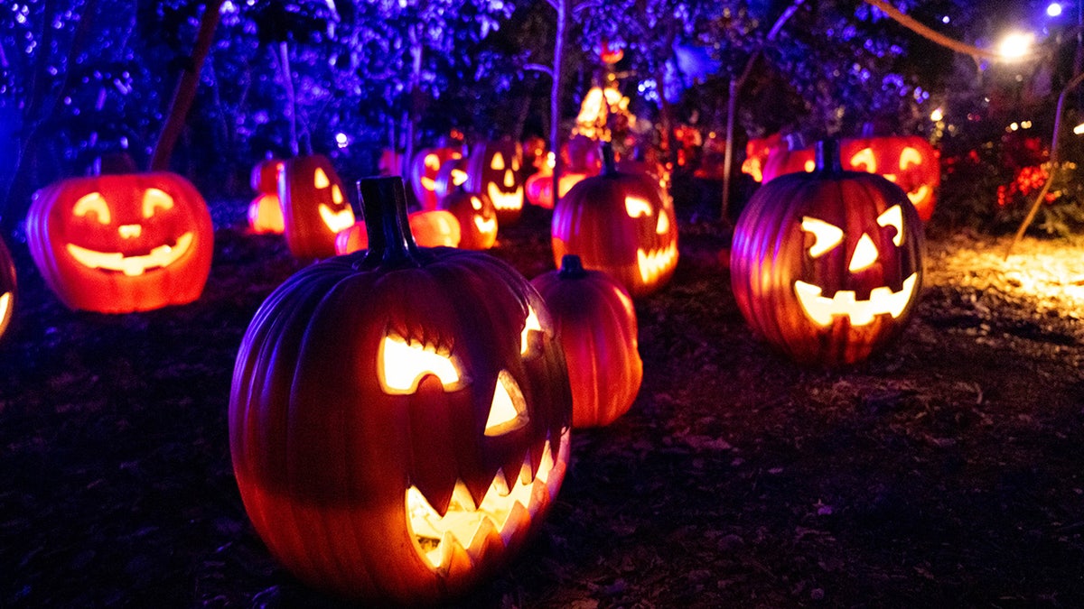 Jack-o-lanterns