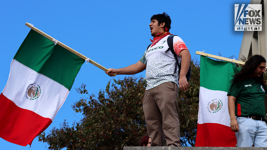 mexican flag at no kings parade