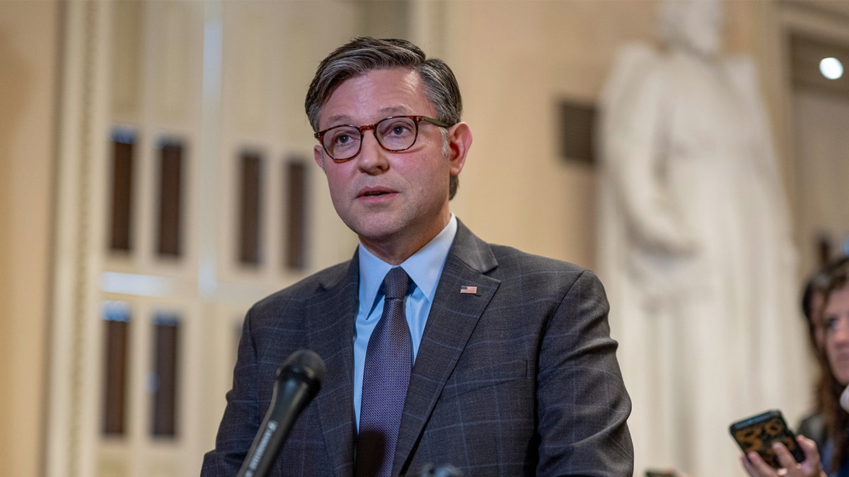 House Speaker Mike Johnson