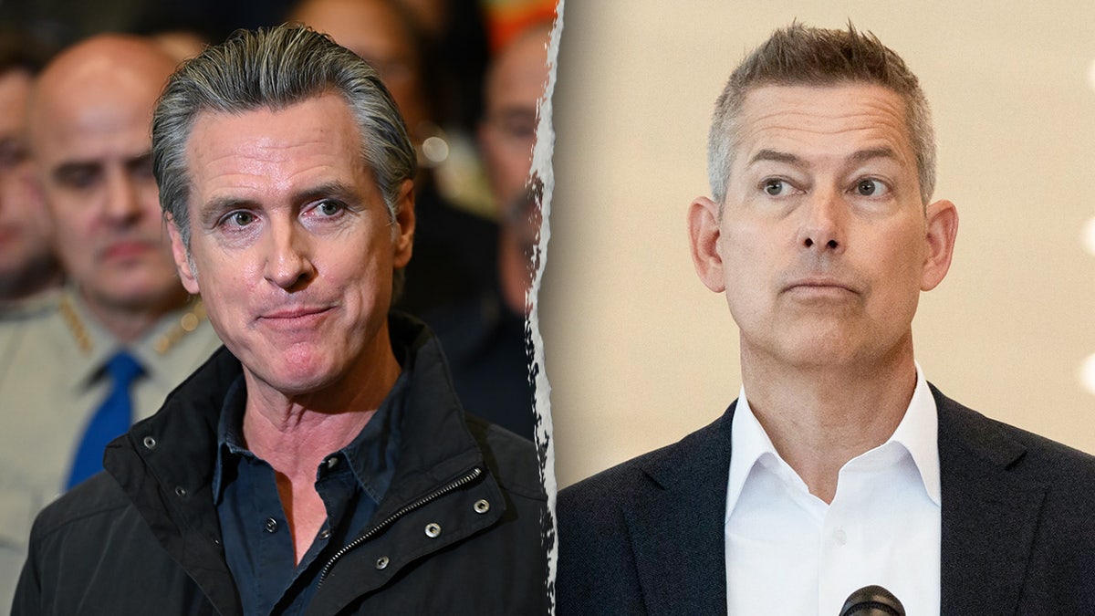 California Gov. Gavin Newsom in a split image with Transportation Secretary Sean Duffy