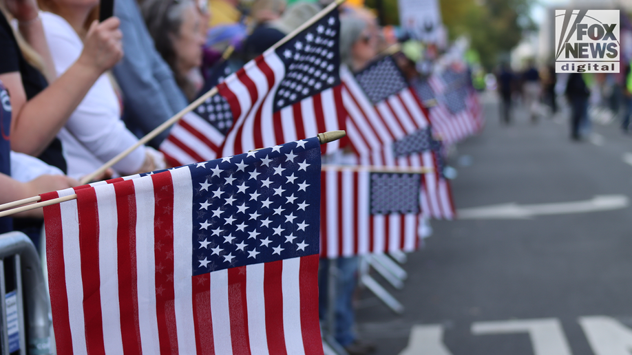 no kings american flags