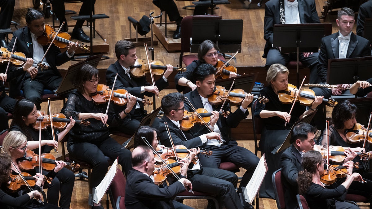 The National Symphony Orchestra