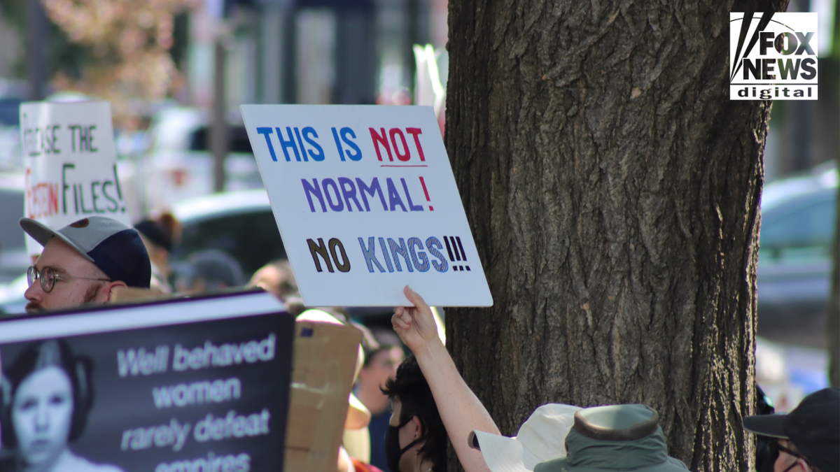 Signs saying No Kings at protest