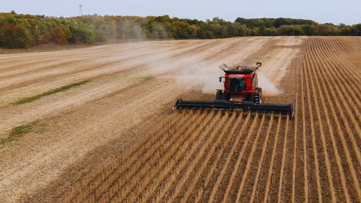A view of a farmer harvesting soybeans in Illinois