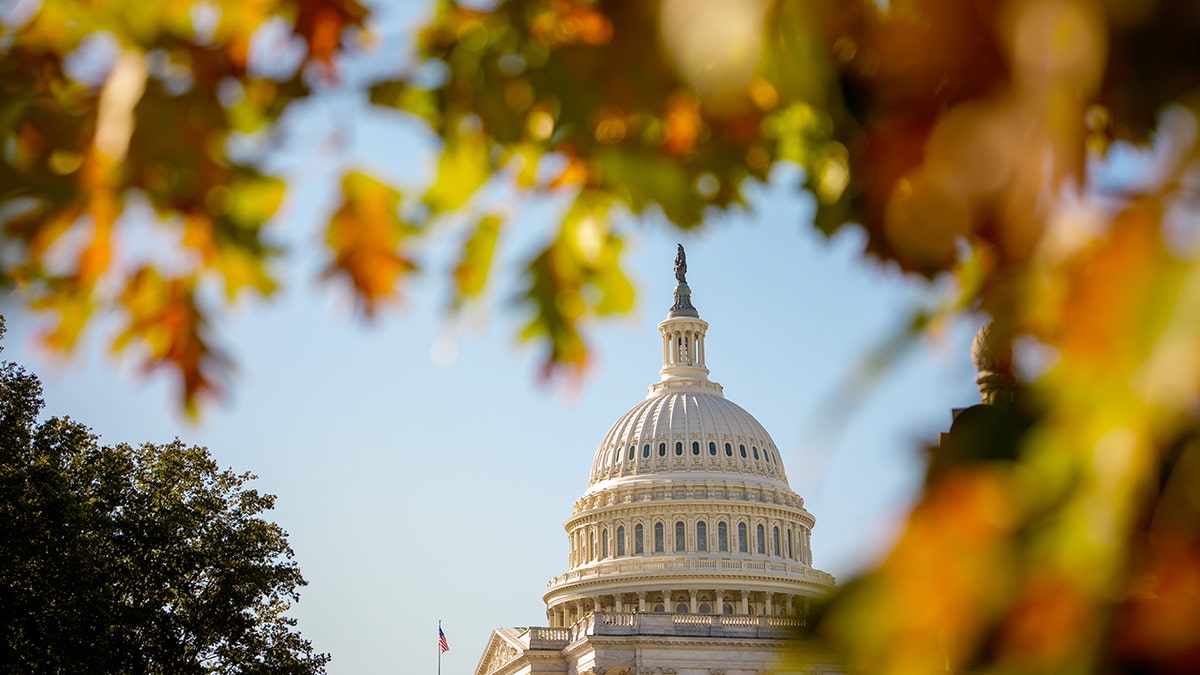 U.S. Capitol