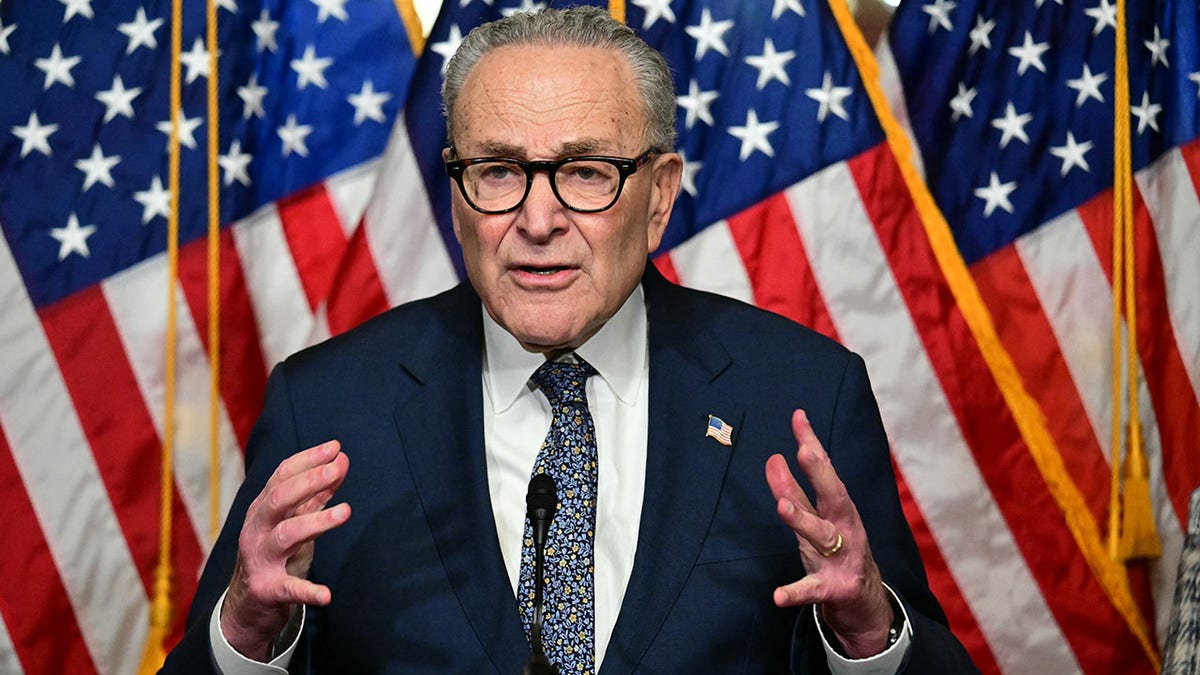 Senate Minority Leader Chuck Schumer, D-N.Y., speaking at a press conference.