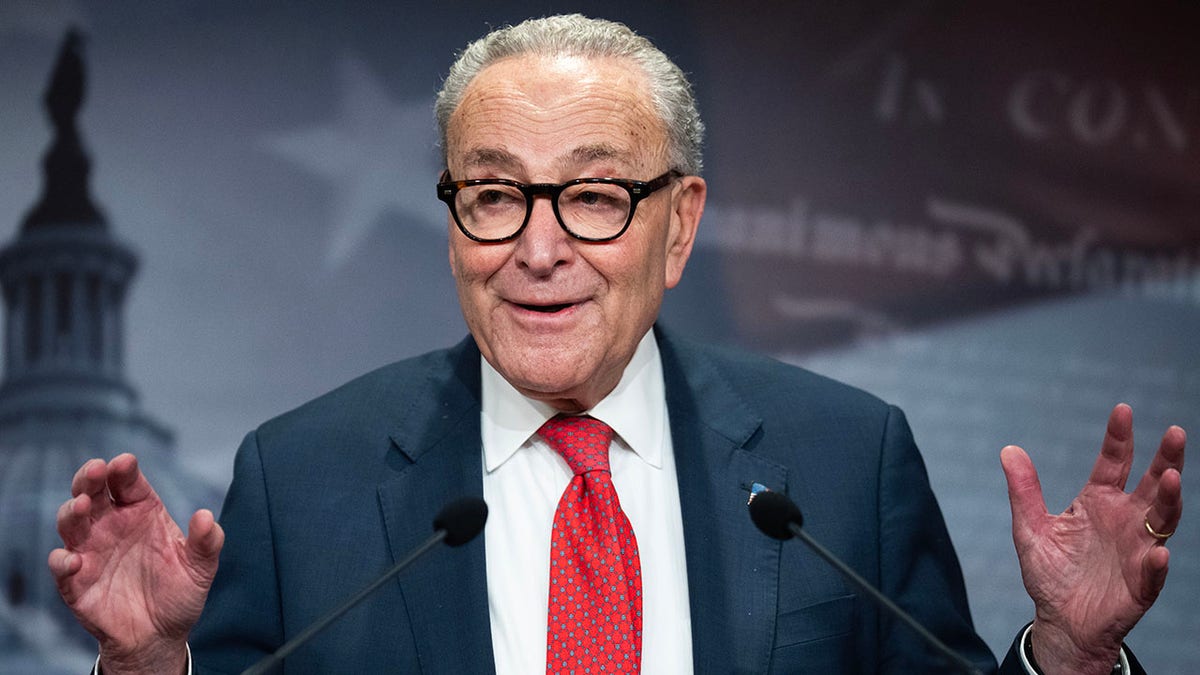 Senate Minority Leader Chuck Schumer, D-N.Y., speaks at a press conference.