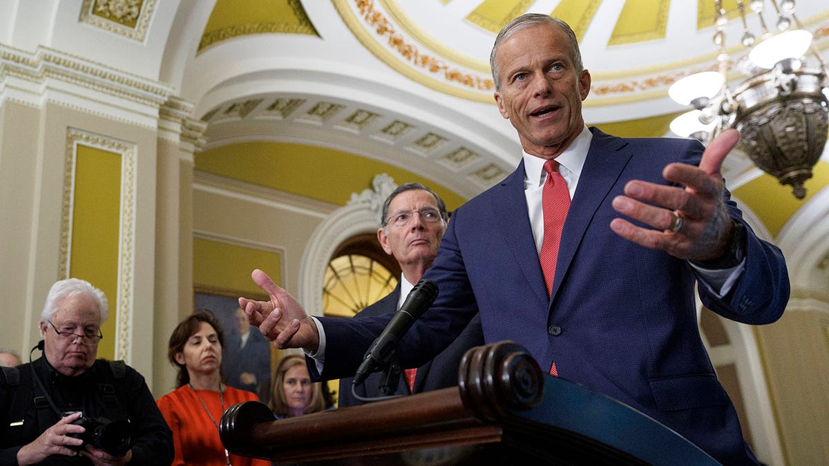 Senate Majority Leader John Thune, R-S.D., speaks at press conference.