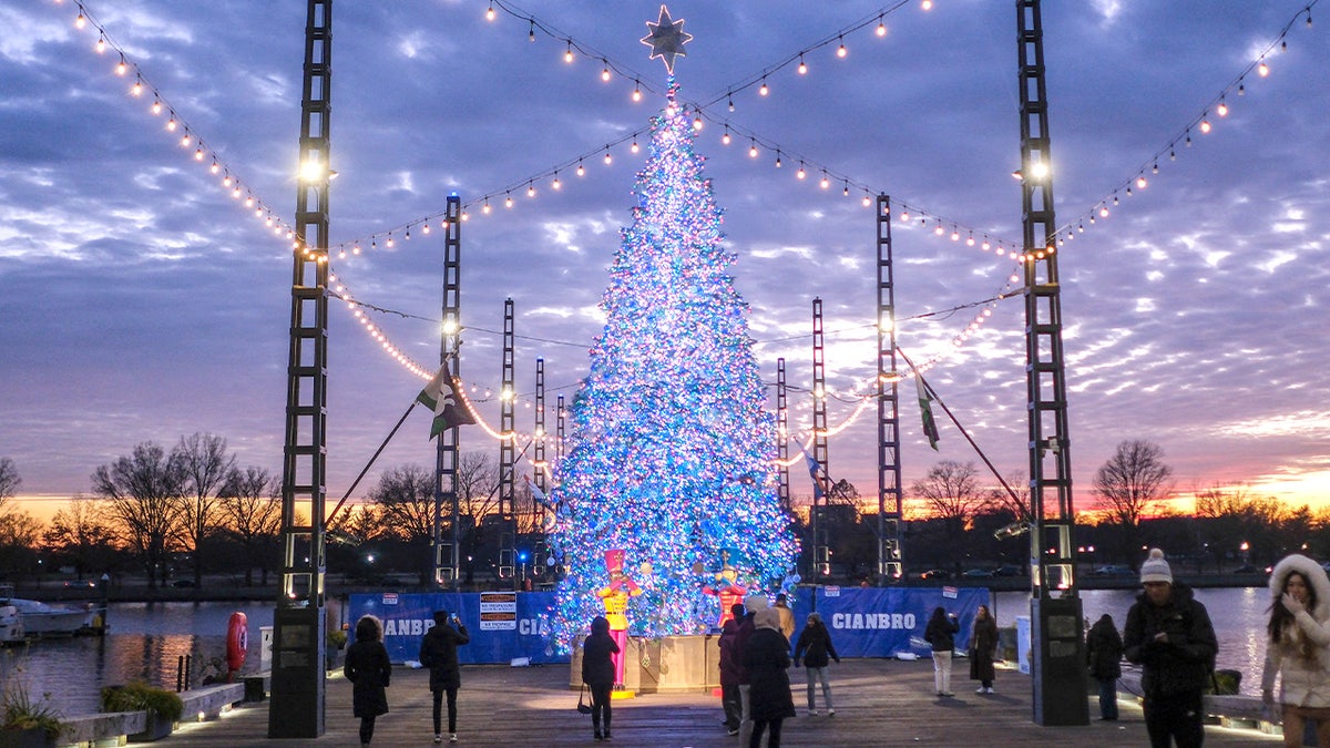 Christmas tree on the Wharf in Washington, D.C.