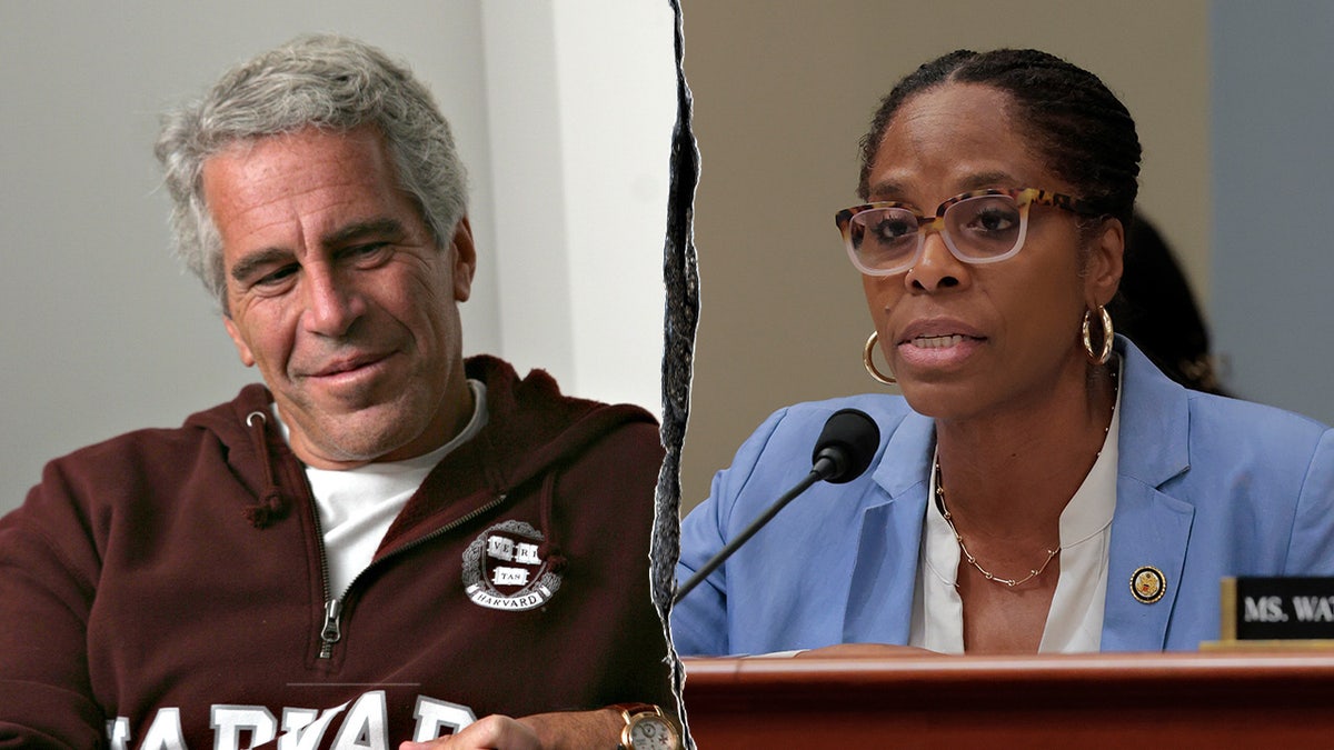 Stacey Plaskett and Jeffrey Epstein
