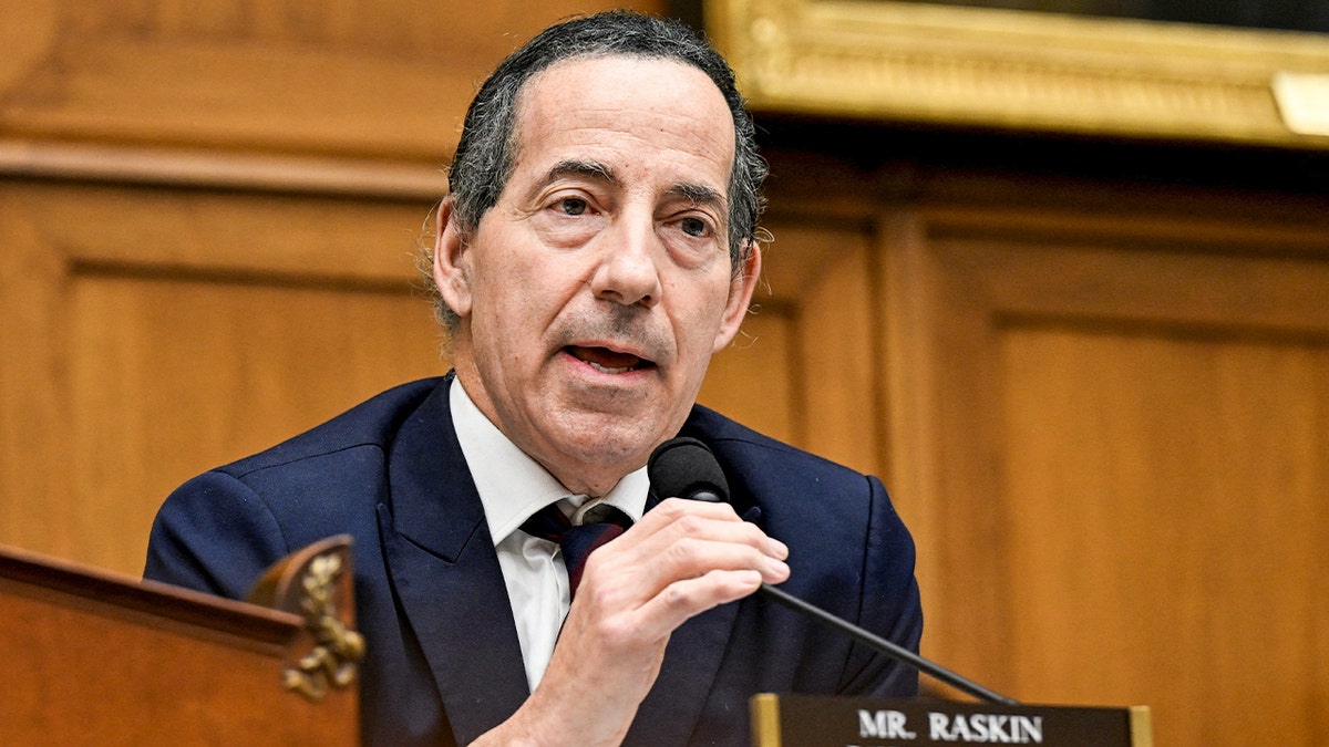 Raskin questions Patel