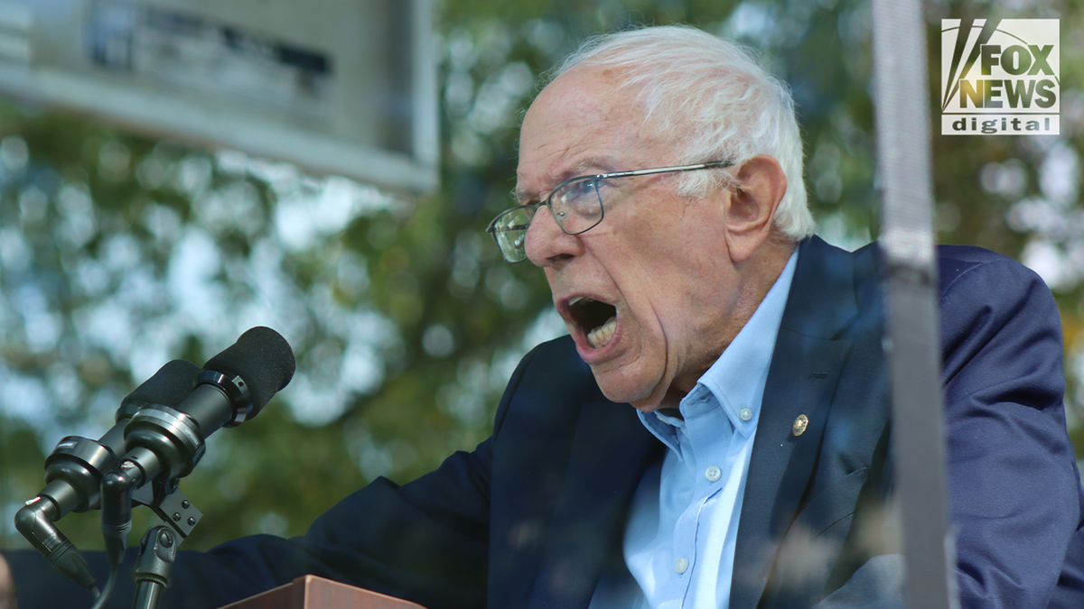 bernie sanders give a no kings speech