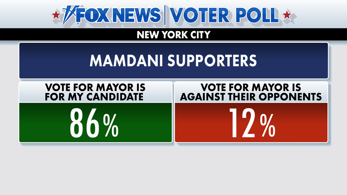Views of Fox News Voter Poll respondents who cast ballots for Zohran Mamdani