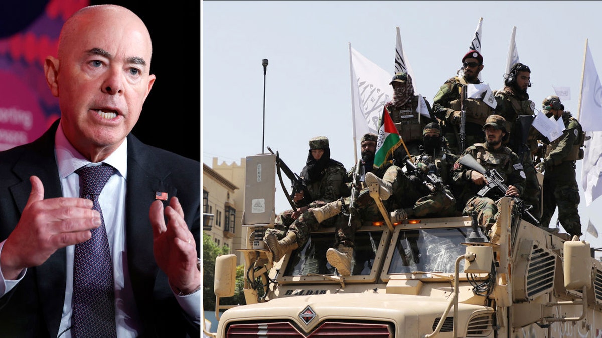 Mayorkas Taliban