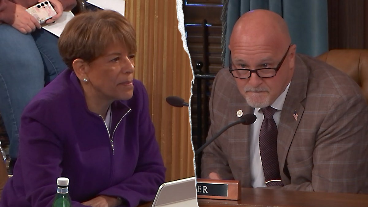 Michigan House of Representatives split