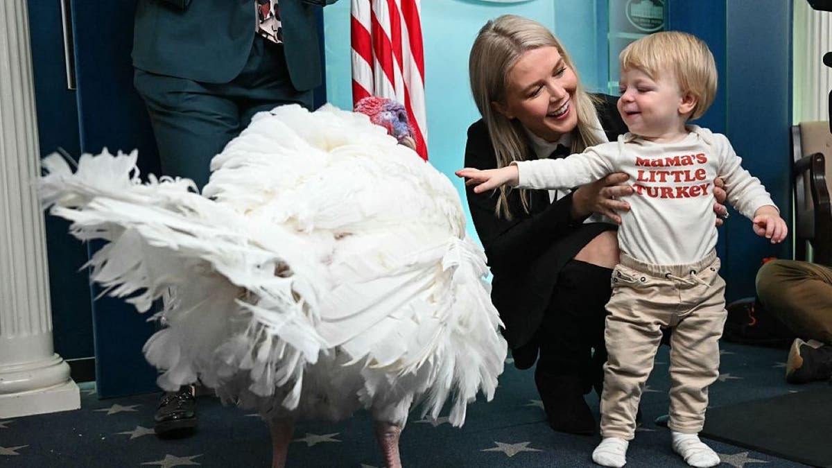 Turkey in the briefing room