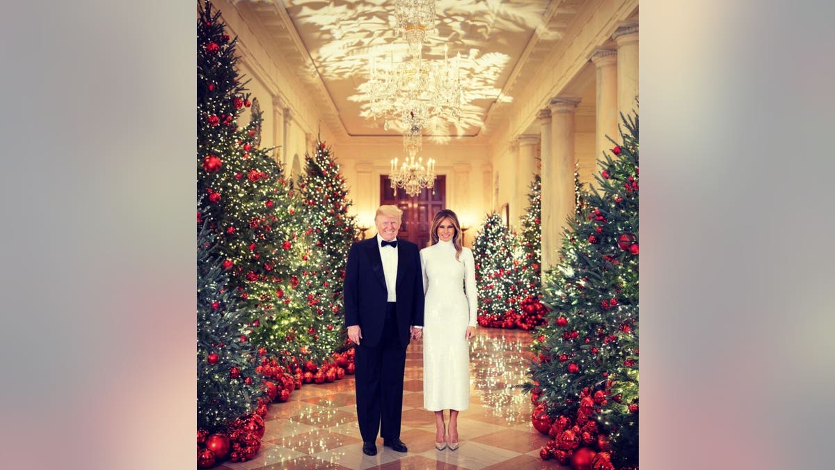 Every year, the first lady — regardless of whether the president is a Republican or Democrat — enjoys the annual tradition of transforming the White House into a winter wonderland. 
